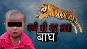 Tiger Kills Toddler in Tragic