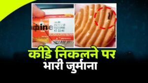 Insect Found in Britannia Biscuit 