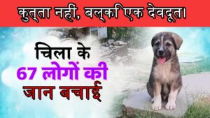 पालतू कुत्ता बना फरिश्ता