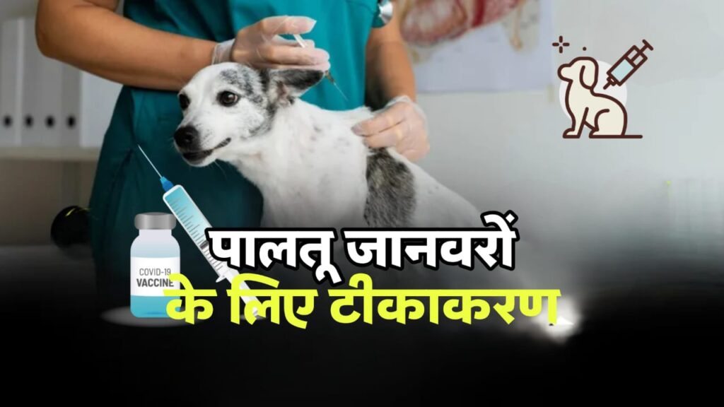 कुत्ते के काटने की सच्ची घटना