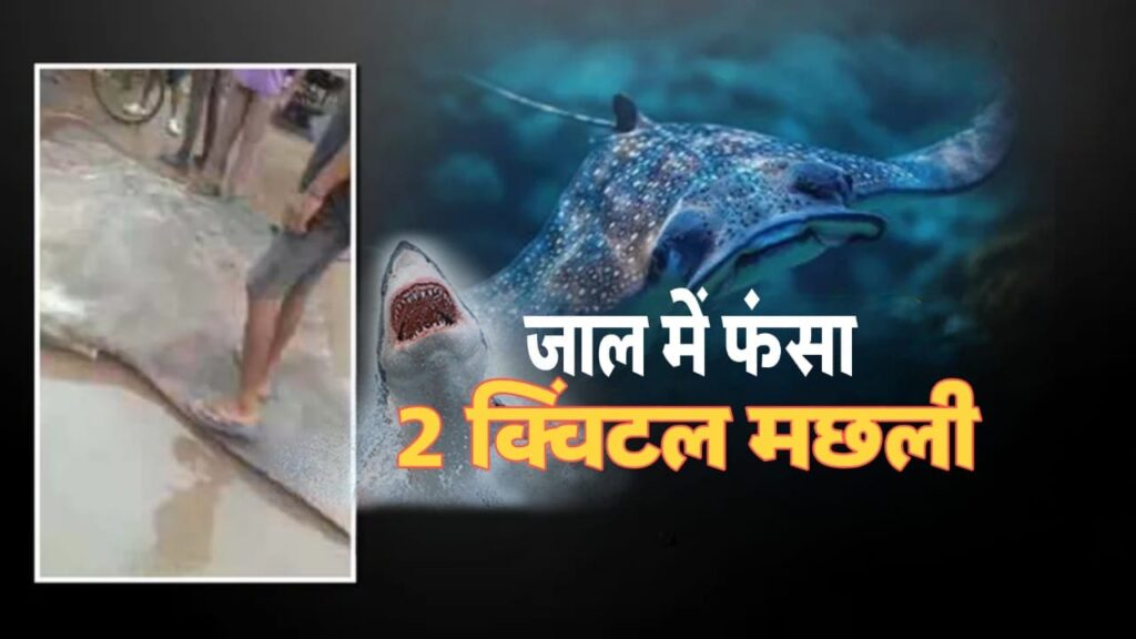 West Bengal Digha Coast