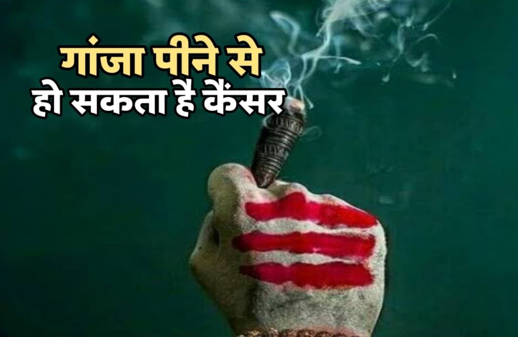 गांजा पीने के साइड इफेक्ट